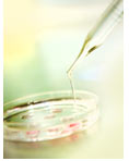 In vitro fertilization