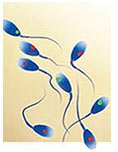 Sperm diagram