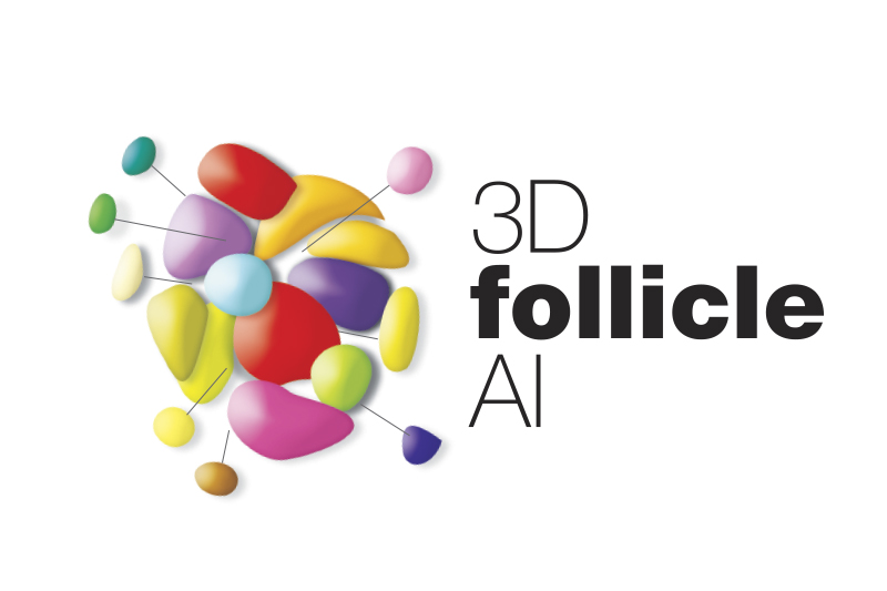Τρισδιάστατη υπερηχογραφική απεικόνιση ωοθυλακίων - 3DfollicleAI